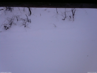 長野県菅平高原 ゆたか山荘 南側 2026/01/17 13:15