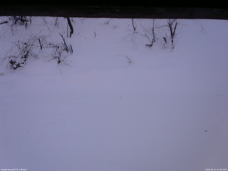 長野県菅平高原 ゆたか山荘 南側 2026/01/17 13:30