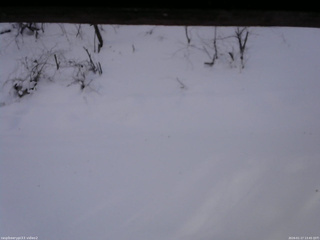 長野県菅平高原 ゆたか山荘 南側 2026/01/17 13:45