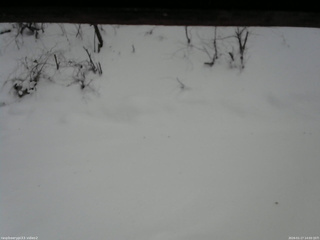 長野県菅平高原 ゆたか山荘 南側 2026/01/17 14:00