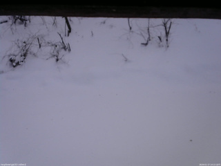 長野県菅平高原 ゆたか山荘 南側 2026/01/17 14:15