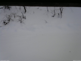 長野県菅平高原 ゆたか山荘 南側 2026/01/17 15:45