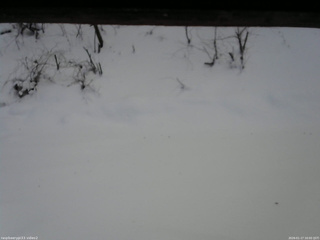 長野県菅平高原 ゆたか山荘 南側 2026/01/17 16:00