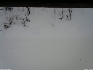 長野県菅平高原 ゆたか山荘 南側 2026/01/17 16:30