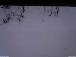 長野県菅平高原 ゆたか山荘 南側 2026/01/17 17:15