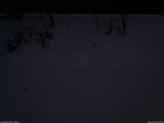 長野県菅平高原 ゆたか山荘 南側 2026/01/18 06:30