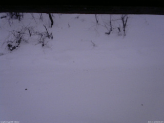 長野県菅平高原 ゆたか山荘 南側 2026/01/18 06:45