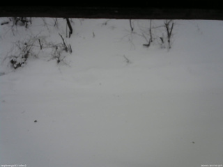 長野県菅平高原 ゆたか山荘 南側 2026/01/18 07:45