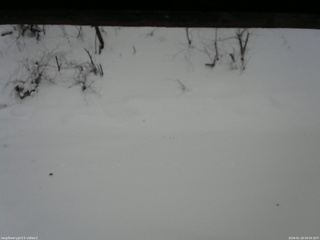 長野県菅平高原 ゆたか山荘 南側 2026/01/18 09:00