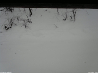 長野県菅平高原 ゆたか山荘 南側 2026/01/18 09:30