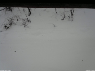 長野県菅平高原 ゆたか山荘 南側 2026/01/18 10:45