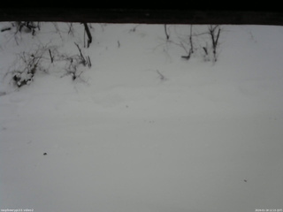 長野県菅平高原 ゆたか山荘 南側 2026/01/18 12:15