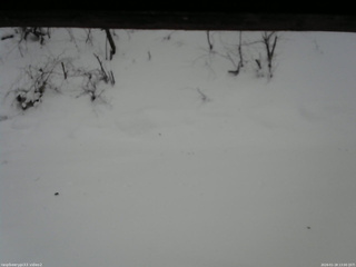 長野県菅平高原 ゆたか山荘 南側 2026/01/18 13:00