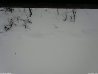 長野県菅平高原 ゆたか山荘 南側 2026/01/18 13:30