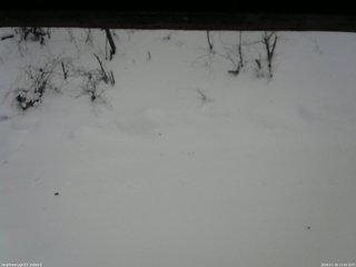 長野県菅平高原 ゆたか山荘 南側 2026/01/18 13:45