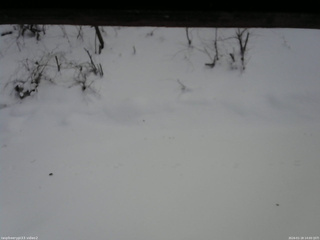 長野県菅平高原 ゆたか山荘 南側 2026/01/18 14:00