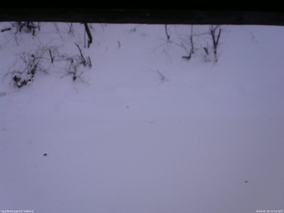 長野県菅平高原 ゆたか山荘 南側 2026/01/18 14:15