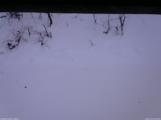 長野県菅平高原 ゆたか山荘 南側 2026/01/18 15:45