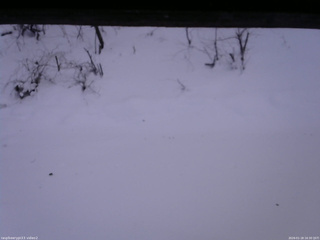 長野県菅平高原 ゆたか山荘 南側 2026/01/18 16:30