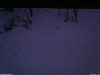 長野県菅平高原 ゆたか山荘 南側 2026/01/19 06:30