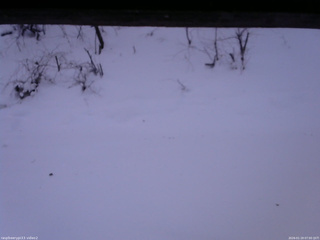 長野県菅平高原 ゆたか山荘 南側 2026/01/19 07:00