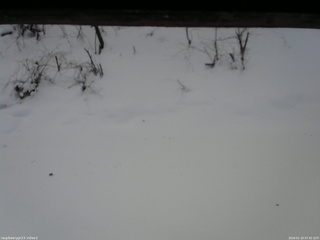 長野県菅平高原 ゆたか山荘 南側 2026/01/19 07:45