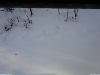 長野県菅平高原 ゆたか山荘 南側 2026/01/19 08:30