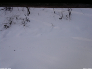 長野県菅平高原 ゆたか山荘 南側 2026/01/19 08:45