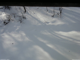 長野県菅平高原 ゆたか山荘 南側 2026/01/19 09:45