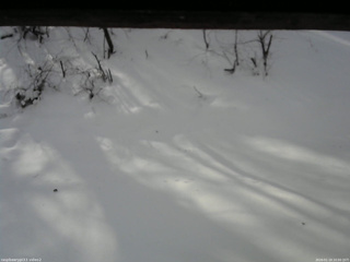 長野県菅平高原 ゆたか山荘 南側 2026/01/19 10:00