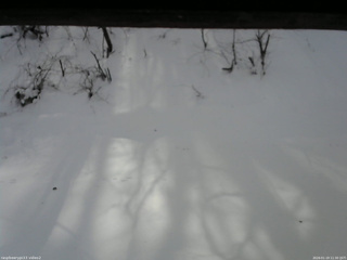 長野県菅平高原 ゆたか山荘 南側 2026/01/19 11:30