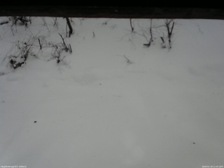 長野県菅平高原 ゆたか山荘 南側 2026/01/19 11:45