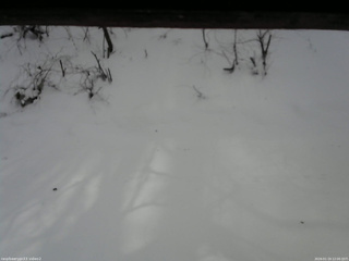 長野県菅平高原 ゆたか山荘 南側 2026/01/19 12:00