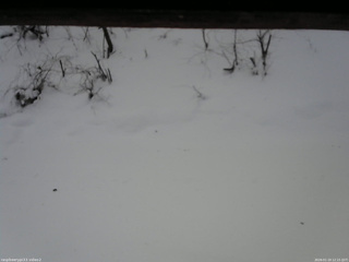 長野県菅平高原 ゆたか山荘 南側 2026/01/19 12:15