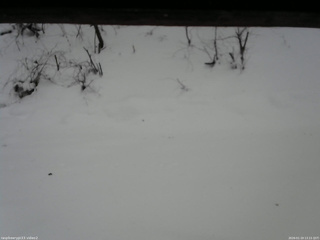 長野県菅平高原 ゆたか山荘 南側 2026/01/19 13:15