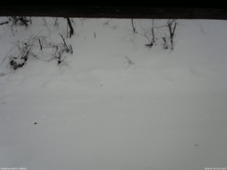 長野県菅平高原 ゆたか山荘 南側 2026/01/19 14:15