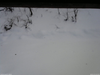 長野県菅平高原 ゆたか山荘 南側 2026/01/19 14:45