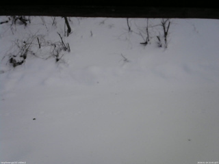 長野県菅平高原 ゆたか山荘 南側 2026/01/19 15:45