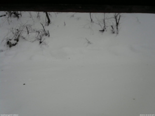 長野県菅平高原 ゆたか山荘 南側 2026/01/19 16:00