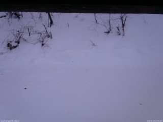 長野県菅平高原 ゆたか山荘 南側 2026/01/19 16:45