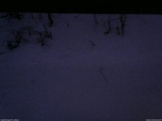 長野県菅平高原 ゆたか山荘 南側 2026/01/20 06:30