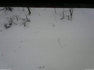 長野県菅平高原 ゆたか山荘 南側 2026/01/20 14:15