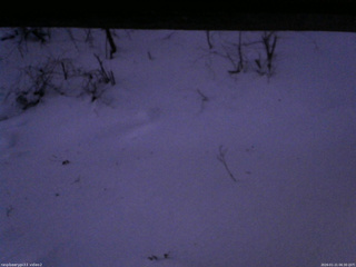 長野県菅平高原 ゆたか山荘 南側 2026/01/21 06:30