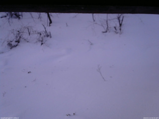 長野県菅平高原 ゆたか山荘 南側 2026/01/21 06:45