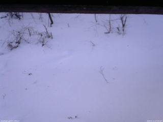 長野県菅平高原 ゆたか山荘 南側 2026/01/21 07:00