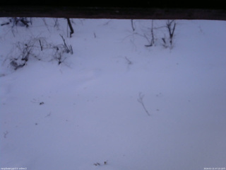 長野県菅平高原 ゆたか山荘 南側 2026/01/21 07:15