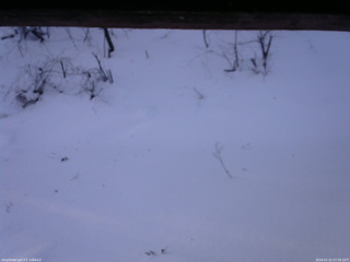 長野県菅平高原 ゆたか山荘 南側 2026/01/21 07:30