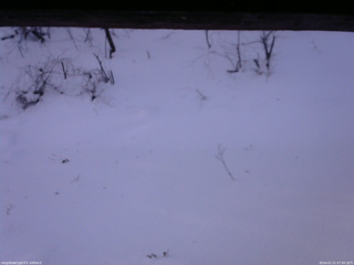 長野県菅平高原 ゆたか山荘 南側 2026/01/21 07:45