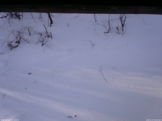 長野県菅平高原 ゆたか山荘 南側 2026/01/21 08:00