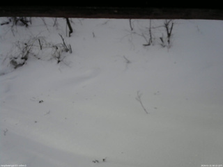 長野県菅平高原 ゆたか山荘 南側 2026/01/21 08:15